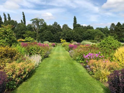 Aylett Nurseries Celebration Garden