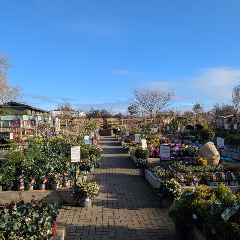 Garden Centre display
